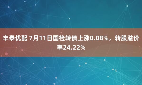 丰泰优配 7月11日国检转债上涨0.08%，转股溢价率24.22%